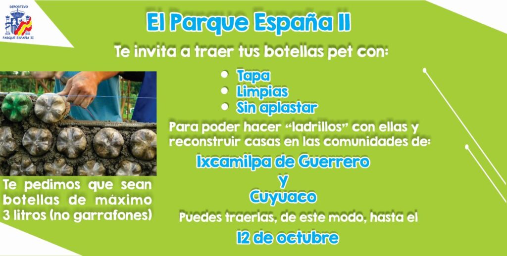 Ladrillos pet